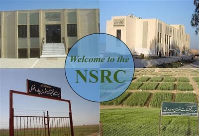 Faculty members of NSRC gave speeches in different international conferences worldwide