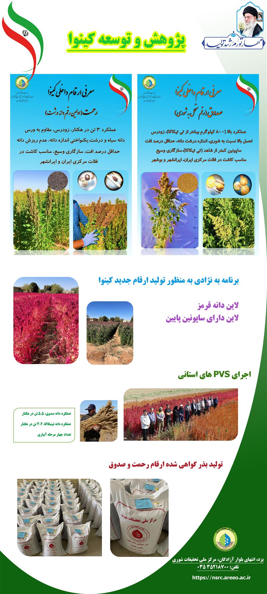 کینوا.jpg